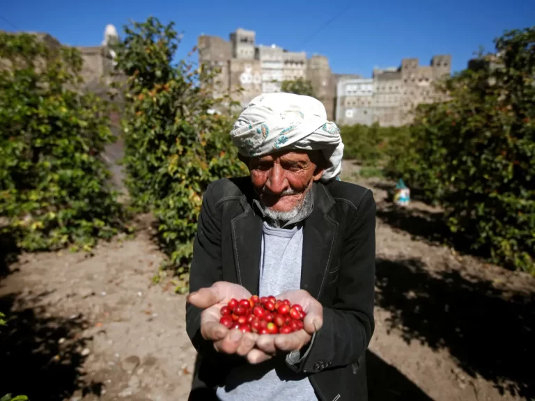 اليمن يطالب بتحديث نقطة اتصاله بمركز “اكساد” لتبادل الخبرات في المجال الزراعي يمن شباب – اخبار محلية